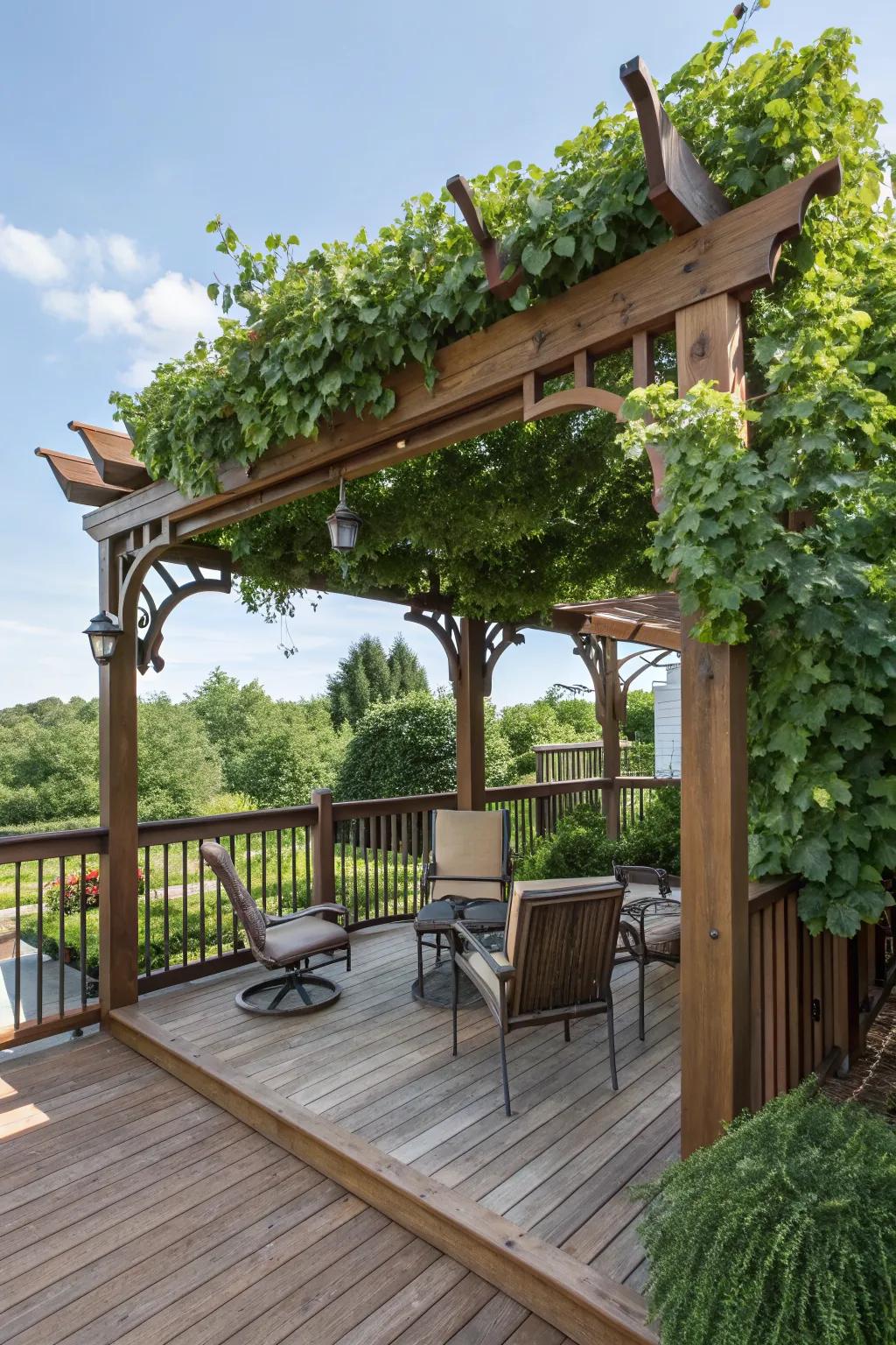 A pergola adds both shade and style to your deck.