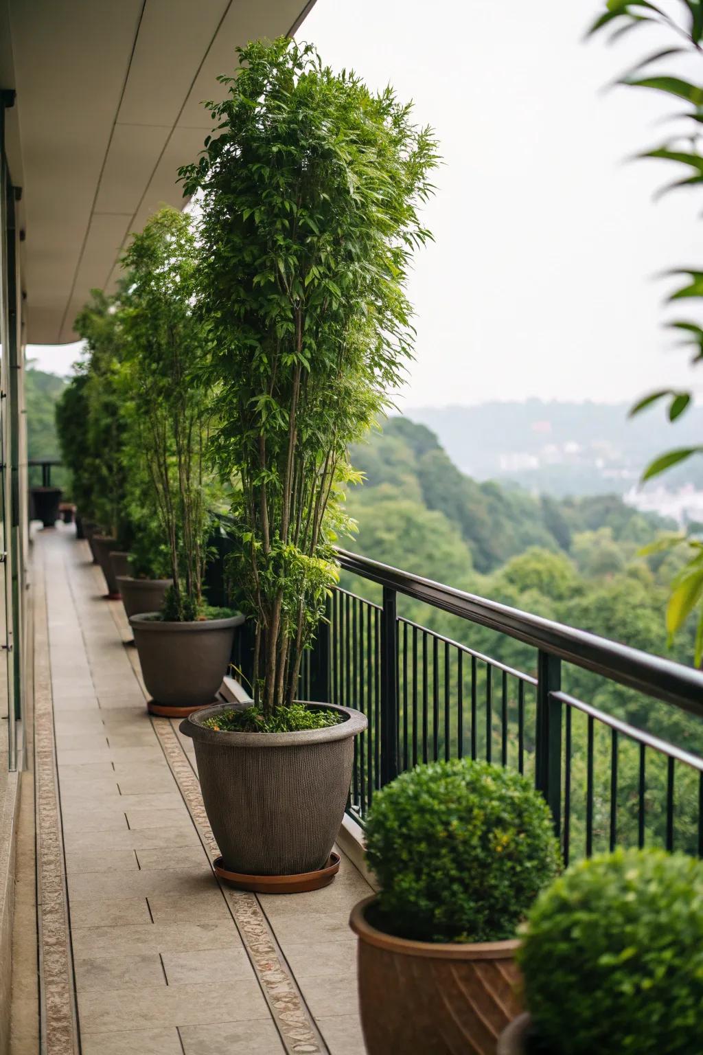Tall plants can act as a living, green privacy screen.