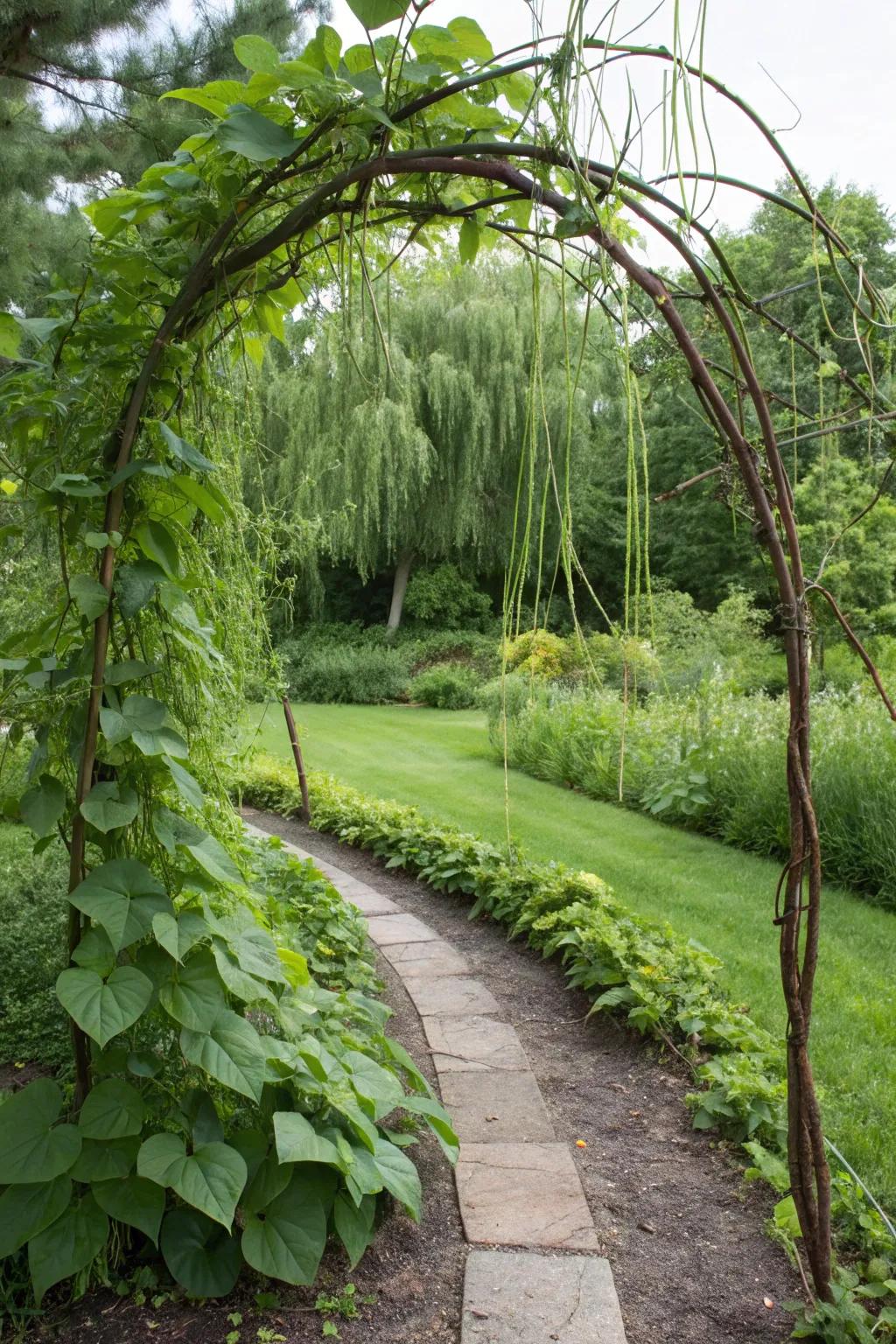 Natural willow arches offer both beauty and support.
