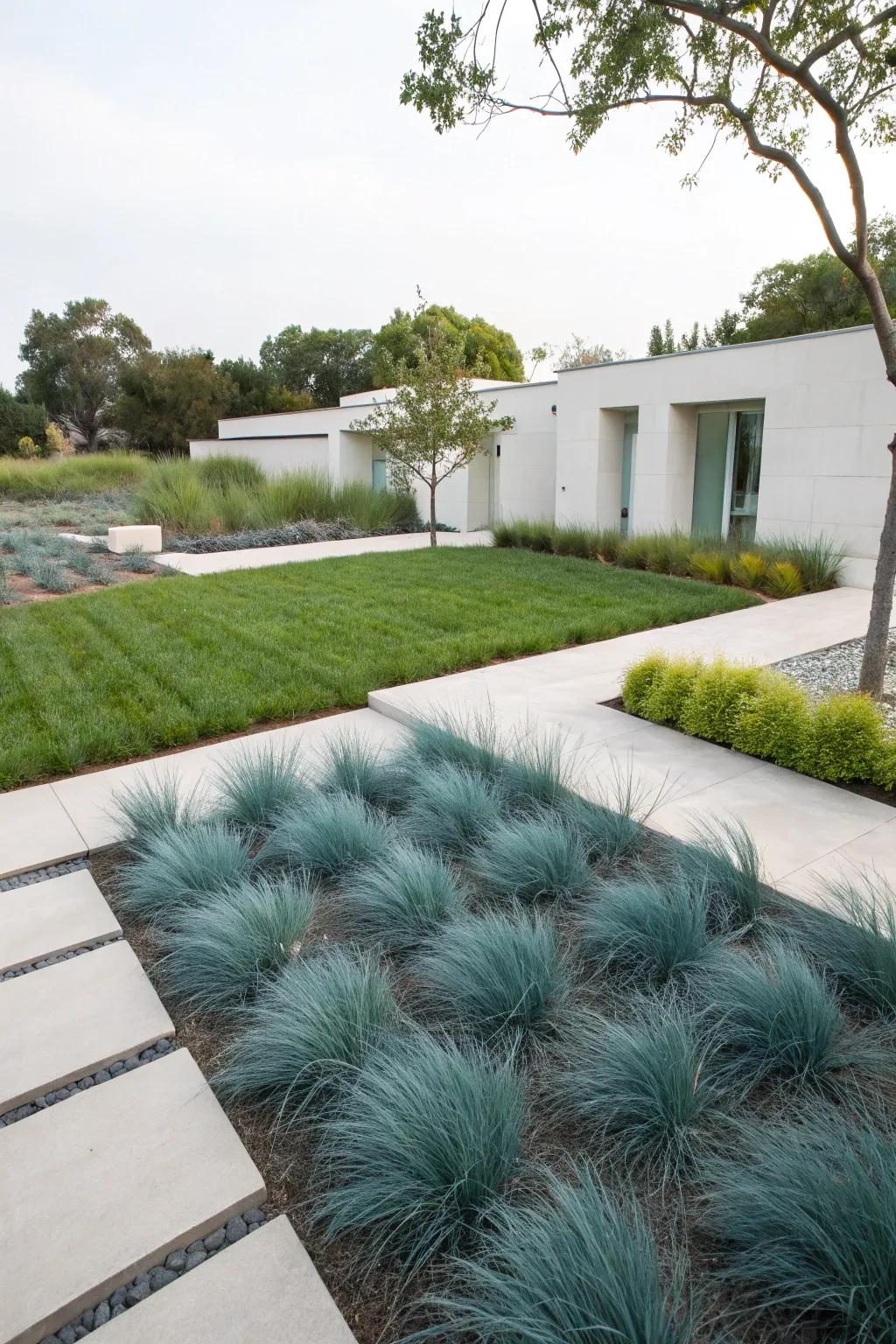 Blue fescue enhances the modern aesthetic of this minimalist garden.