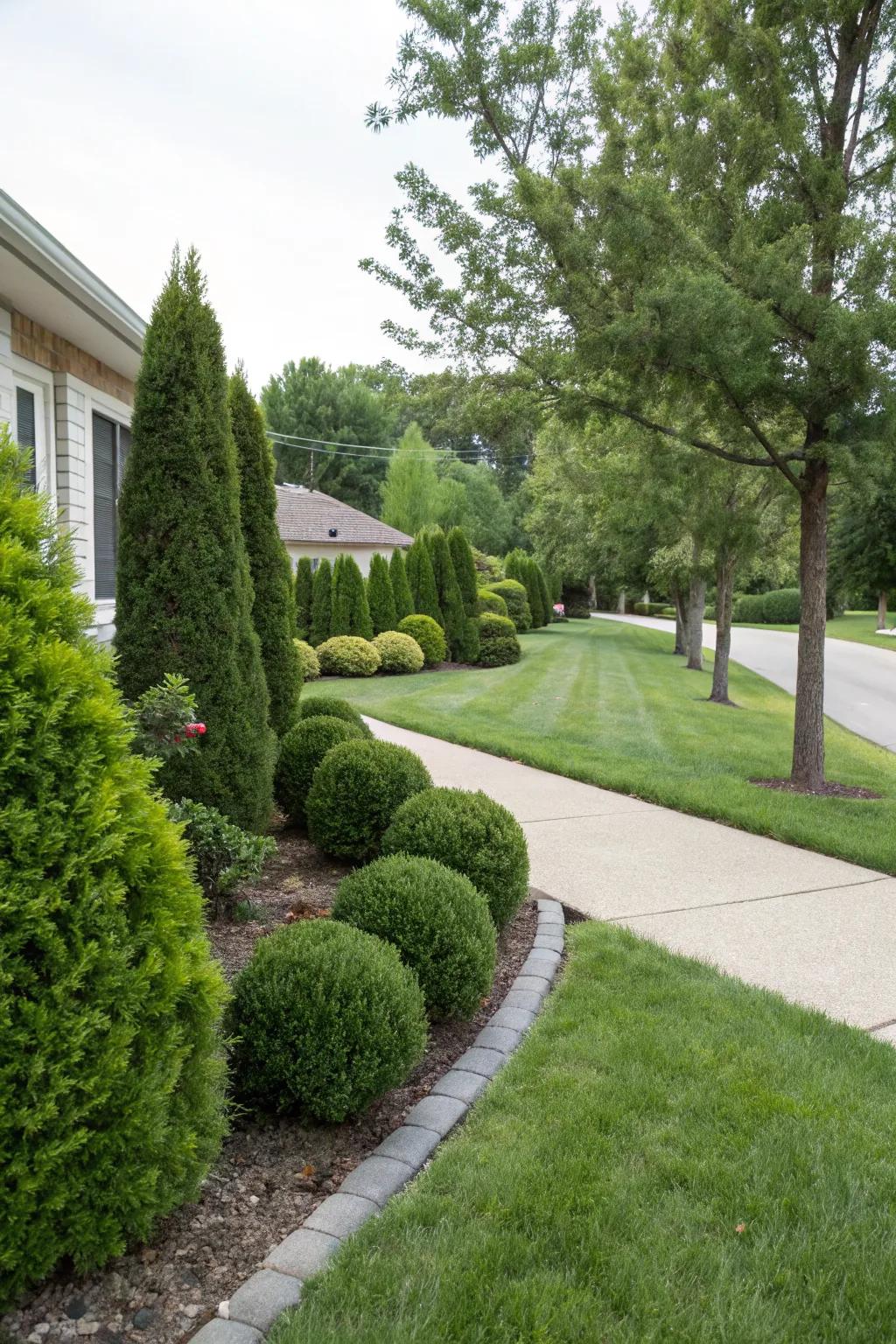 Evergreens offer low-maintenance beauty all year long.