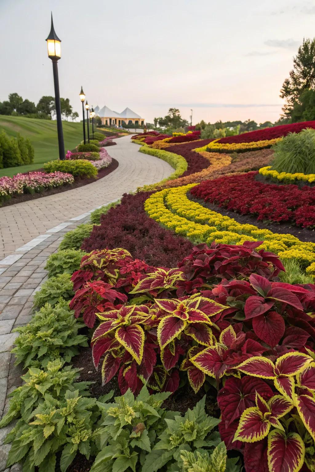 Create artistic patterns with coleus varieties.
