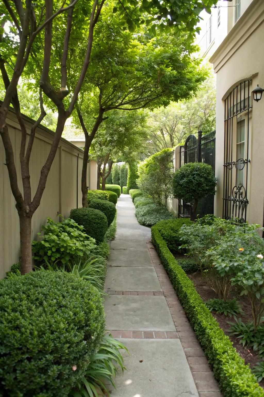 Greenery that breathes life into concrete spaces.