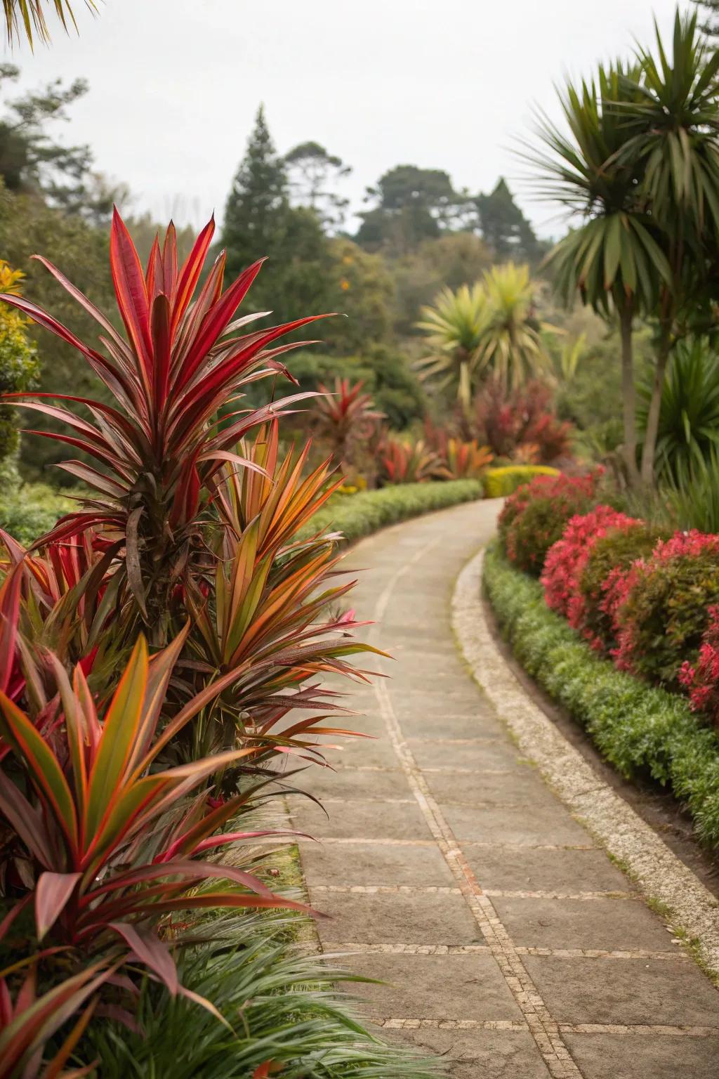 Guide your guests with pathways lined with stunning cordylines.