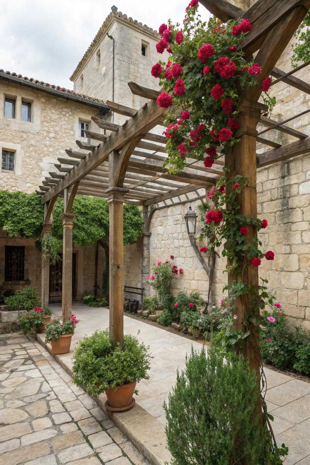 Trellises with climbers offer privacy and a beautiful backdrop.