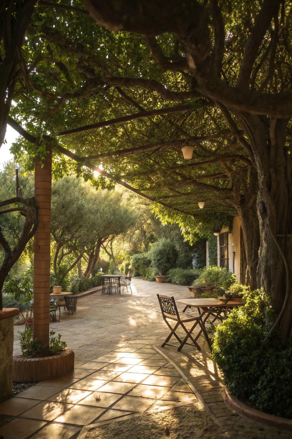 Trees offer natural and serene shading for any patio.