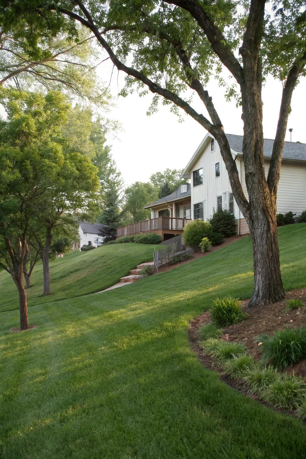 Regrading creates a subtle slope that effectively directs water away.