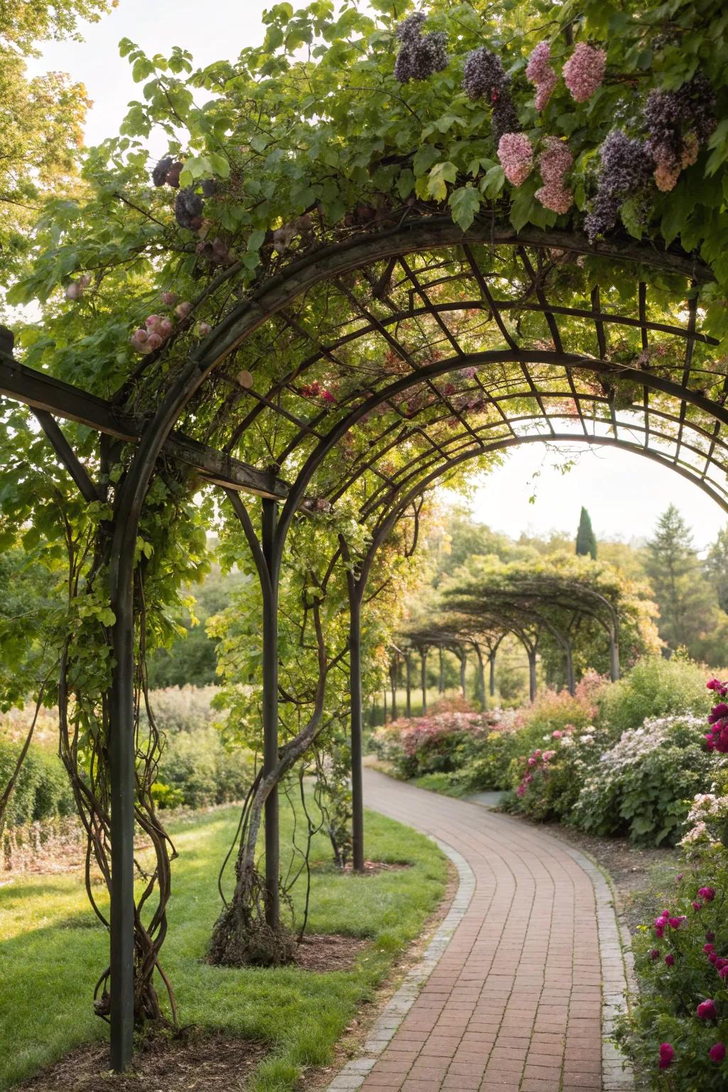 Add elegance with a decorative arbor trellis.