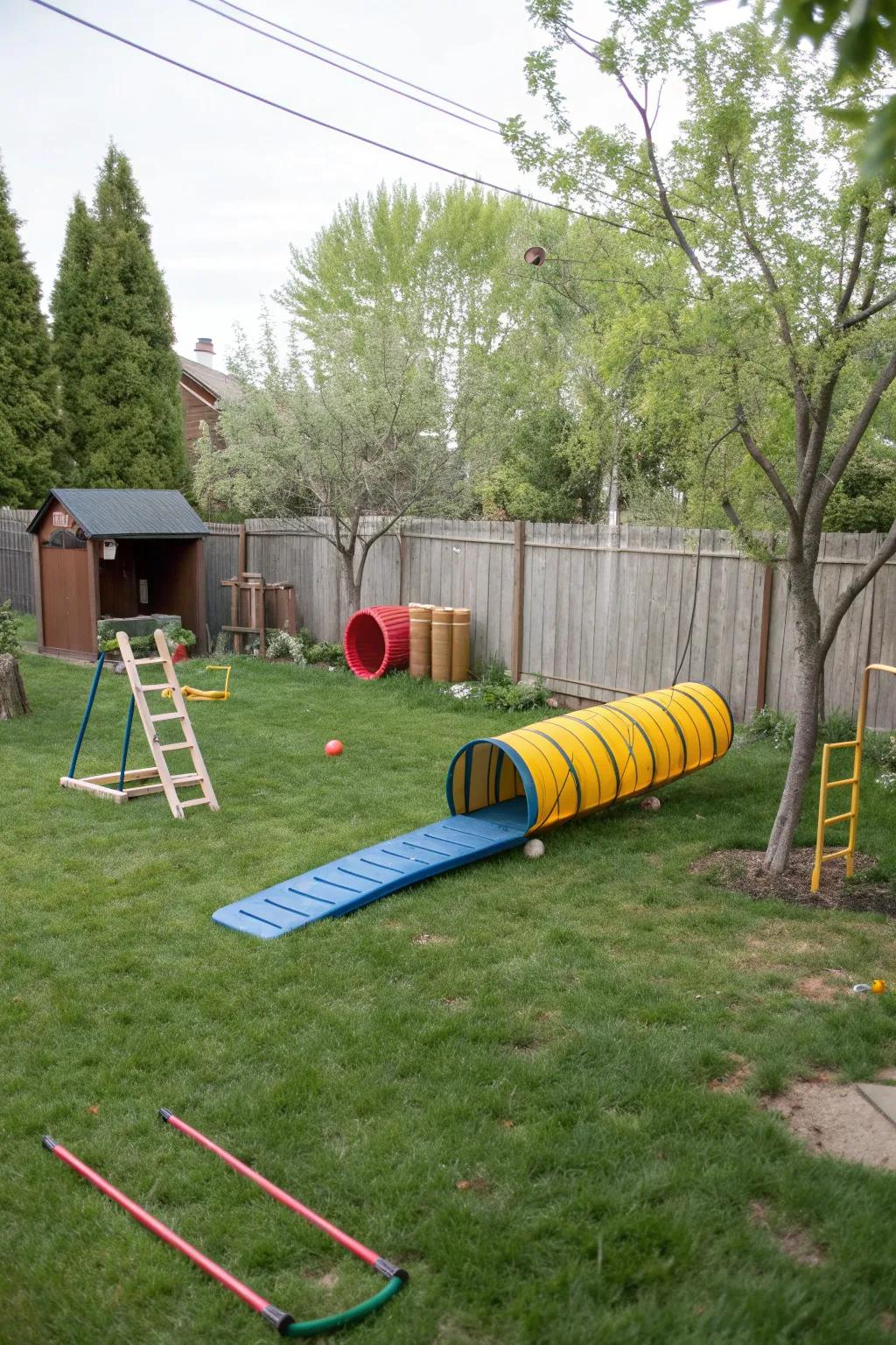 Agility fun right at home.