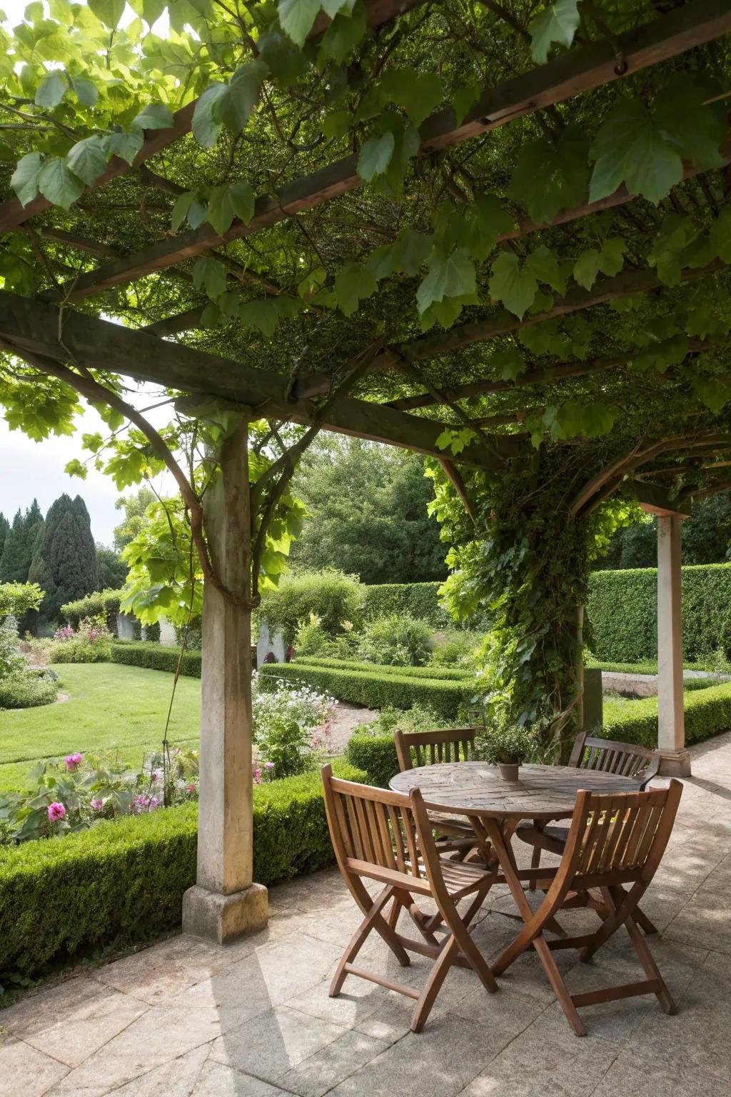 A garden pergola offering shade and elegance.