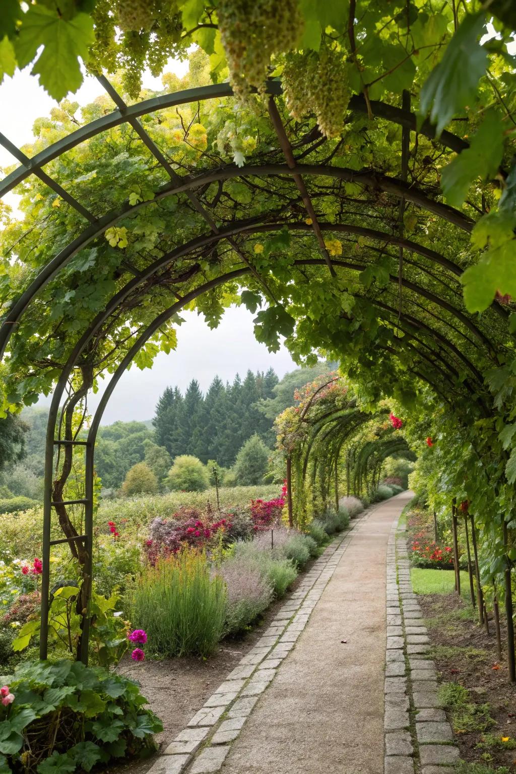 A grapevine-covered archway leading into a garden retreat.