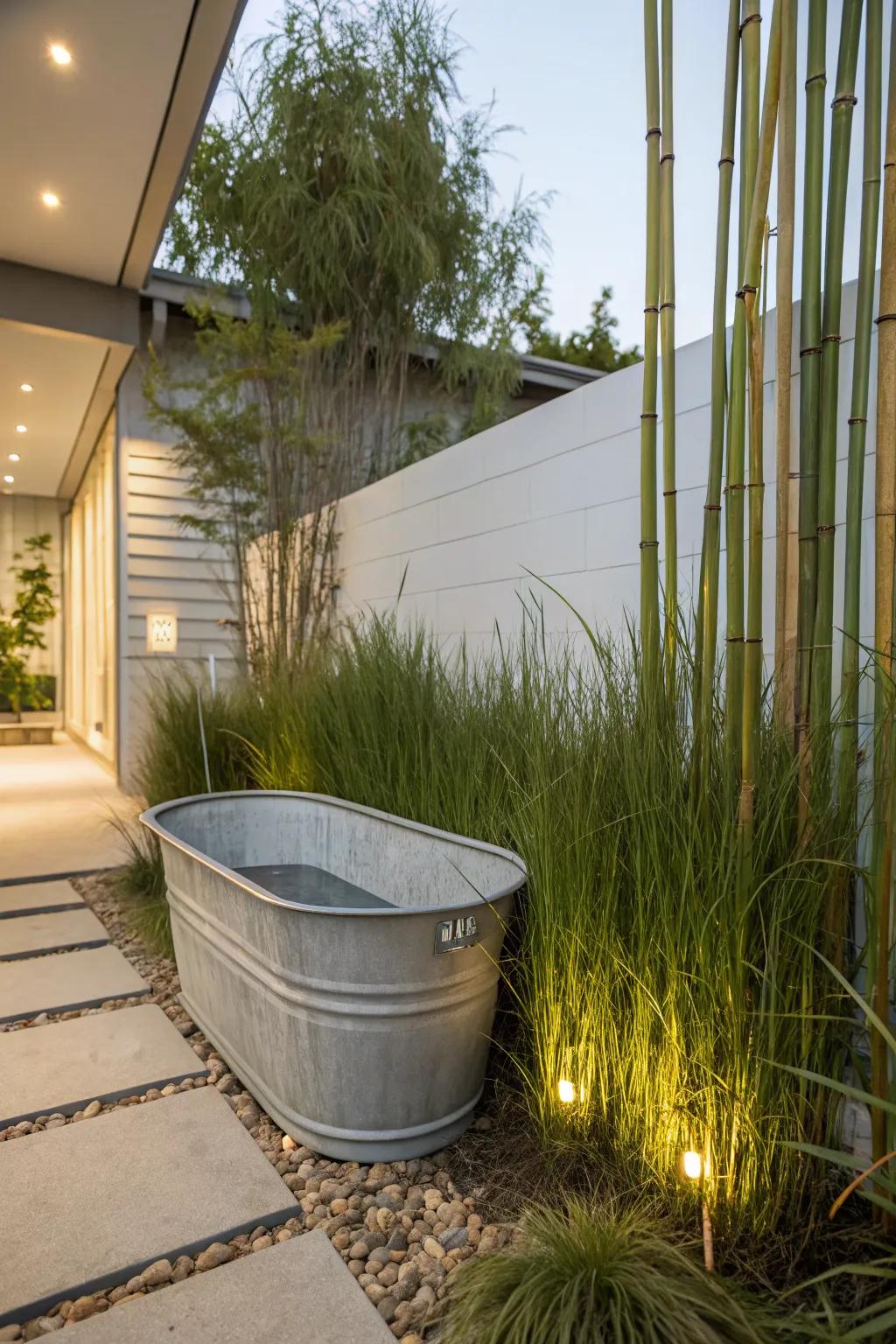 A minimalist planter design with large statement plants for a sleek look.
