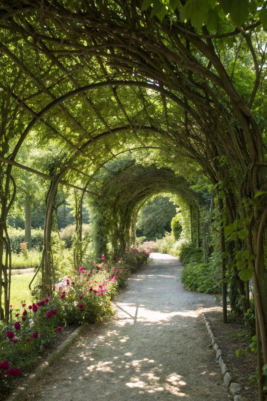 A natural archway of branches and vines forms a magical garden entrance.
