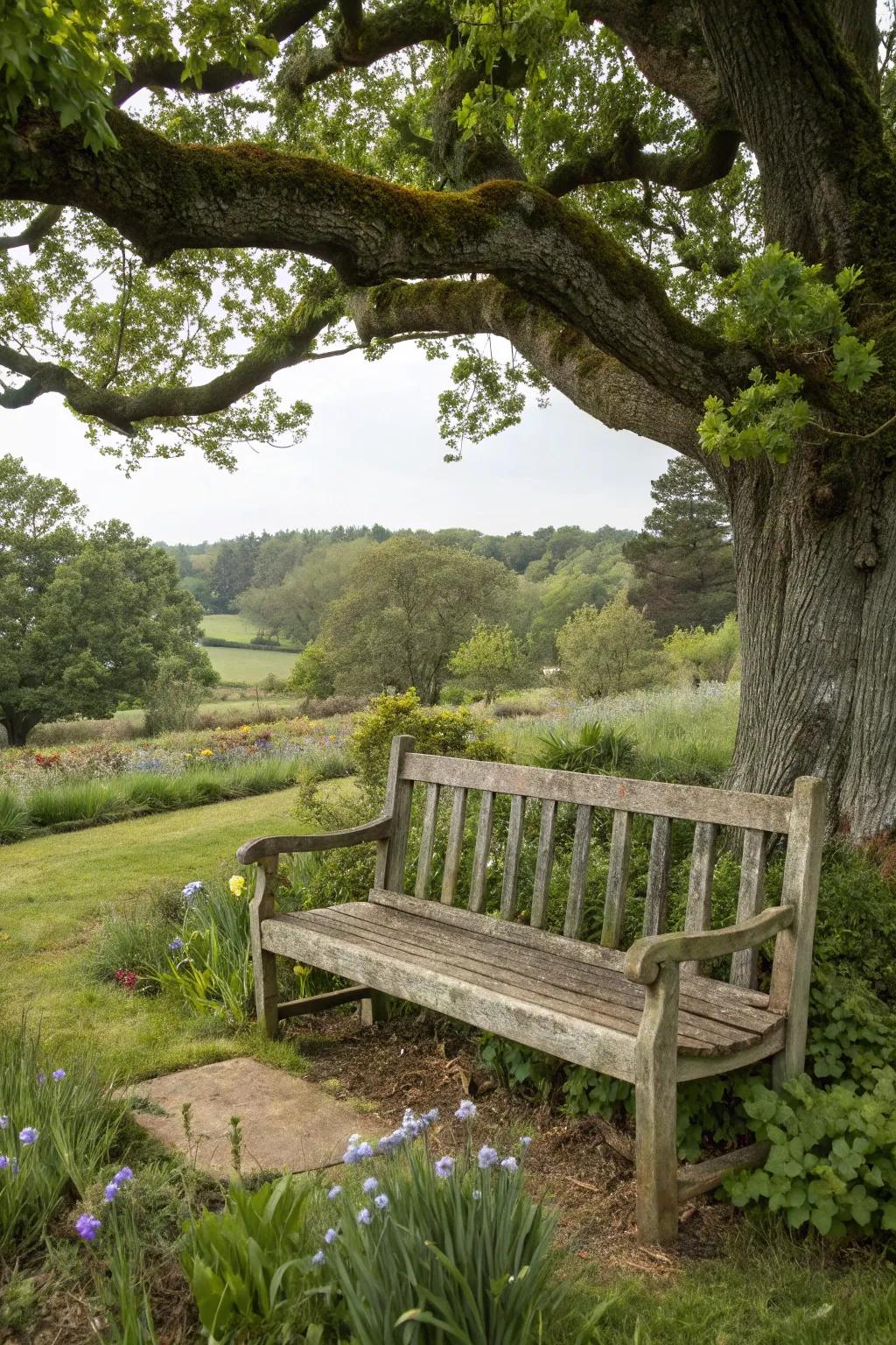A cozy seating area under an oak tree offers a perfect garden retreat.