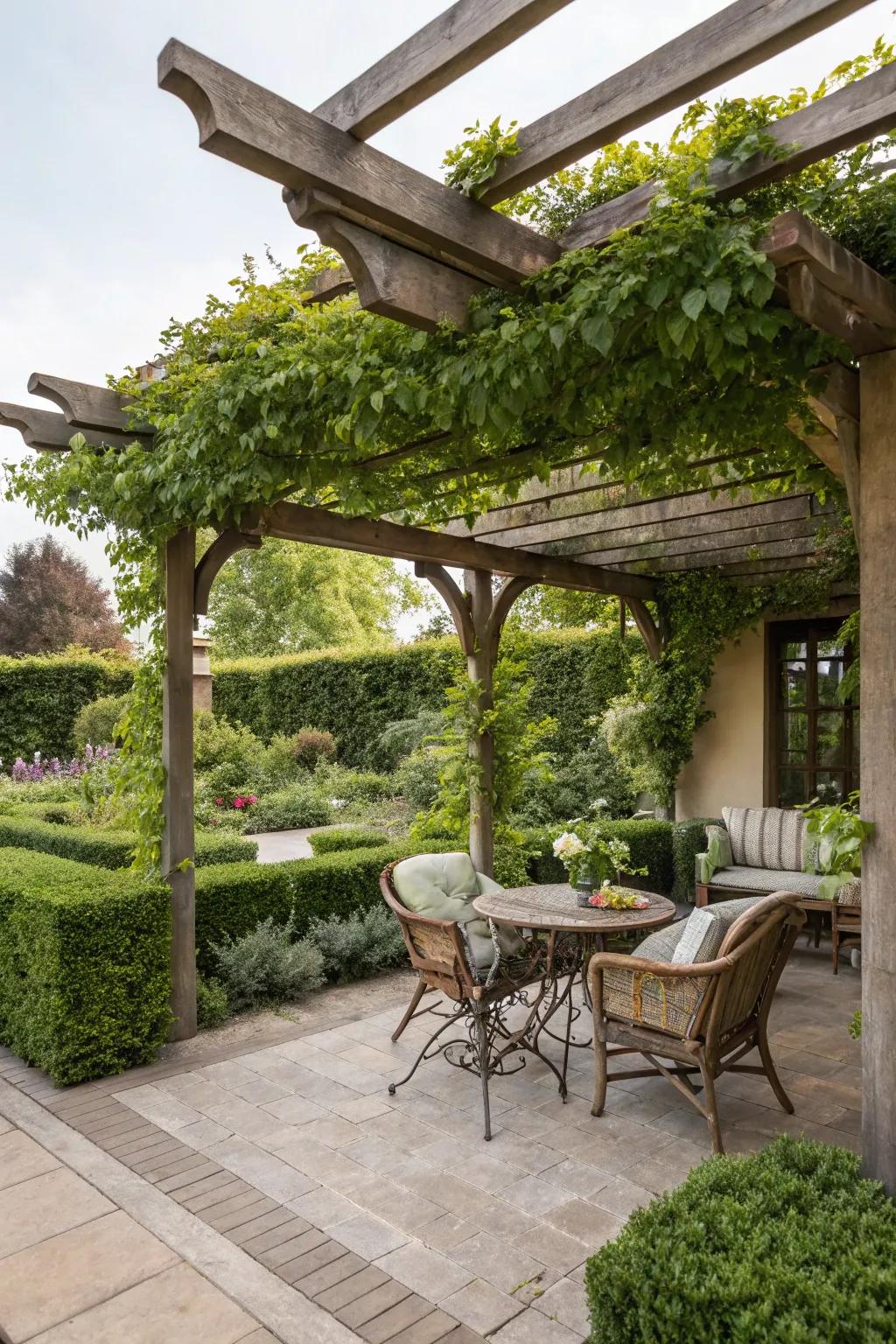 A charming seating area under a pergola adorned with honeysuckle, ideal for relaxation.
