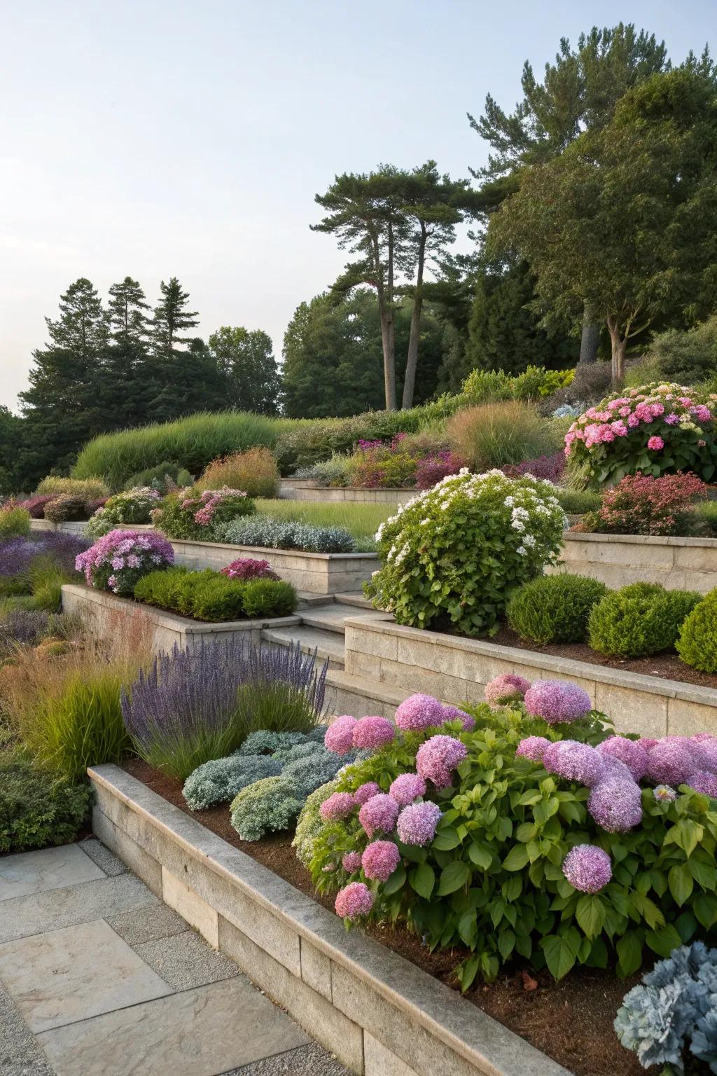 A garden with layered plant arrangements featuring hydrangeas.