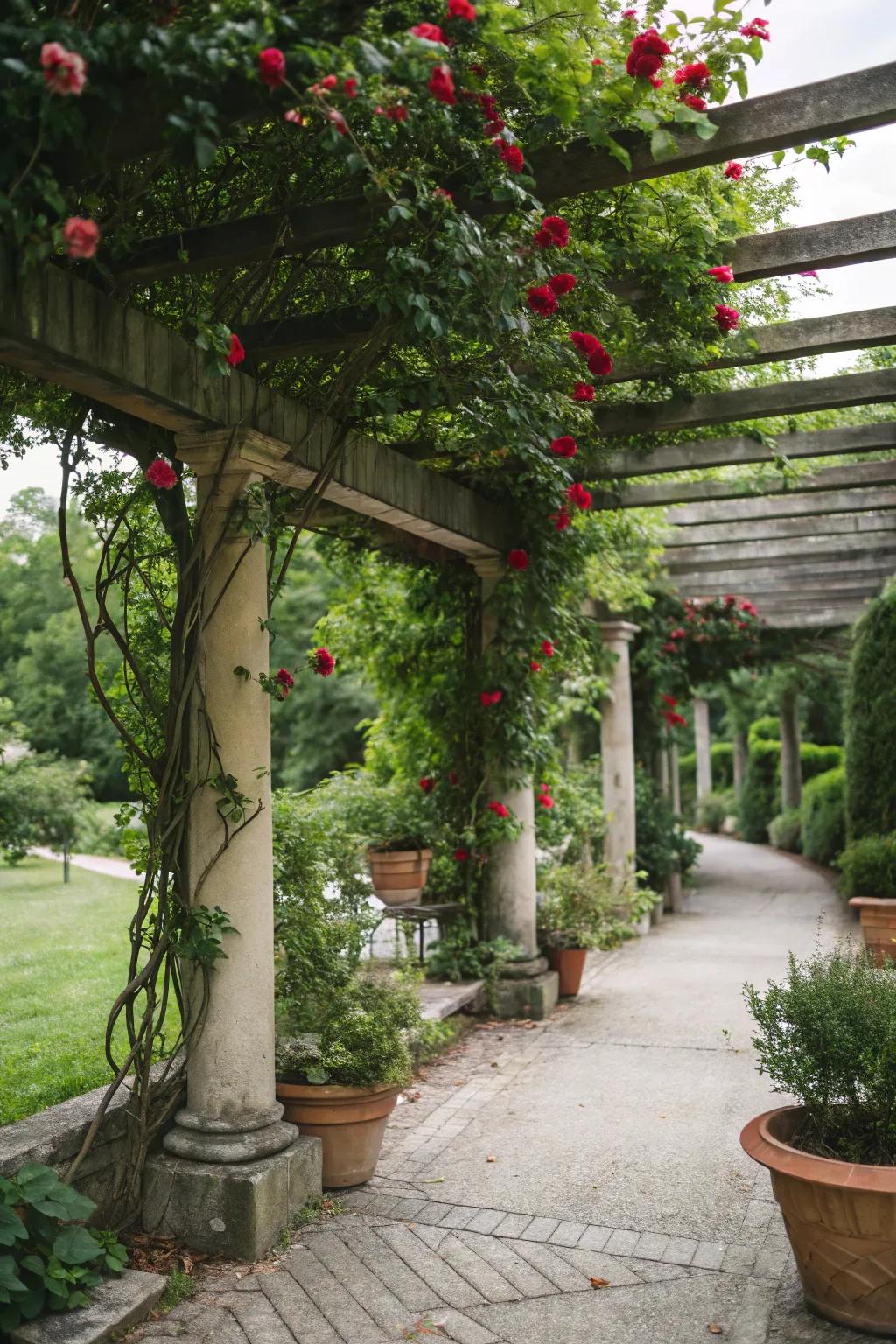 A pergola beautifully integrated with its natural surroundings.