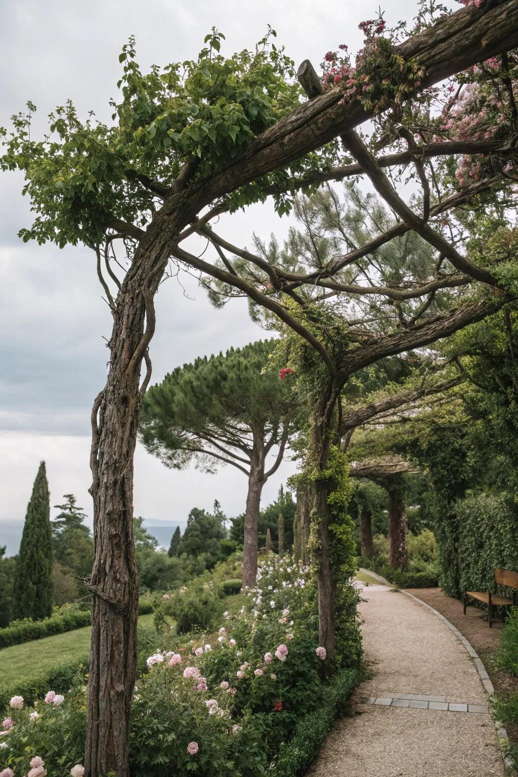 A trellis integrated with nature creates a seamless garden design.