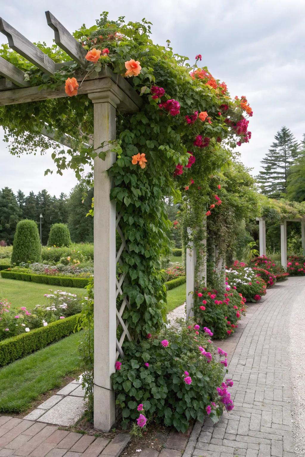 A beautiful trellis adorned with colorful climbing plants.