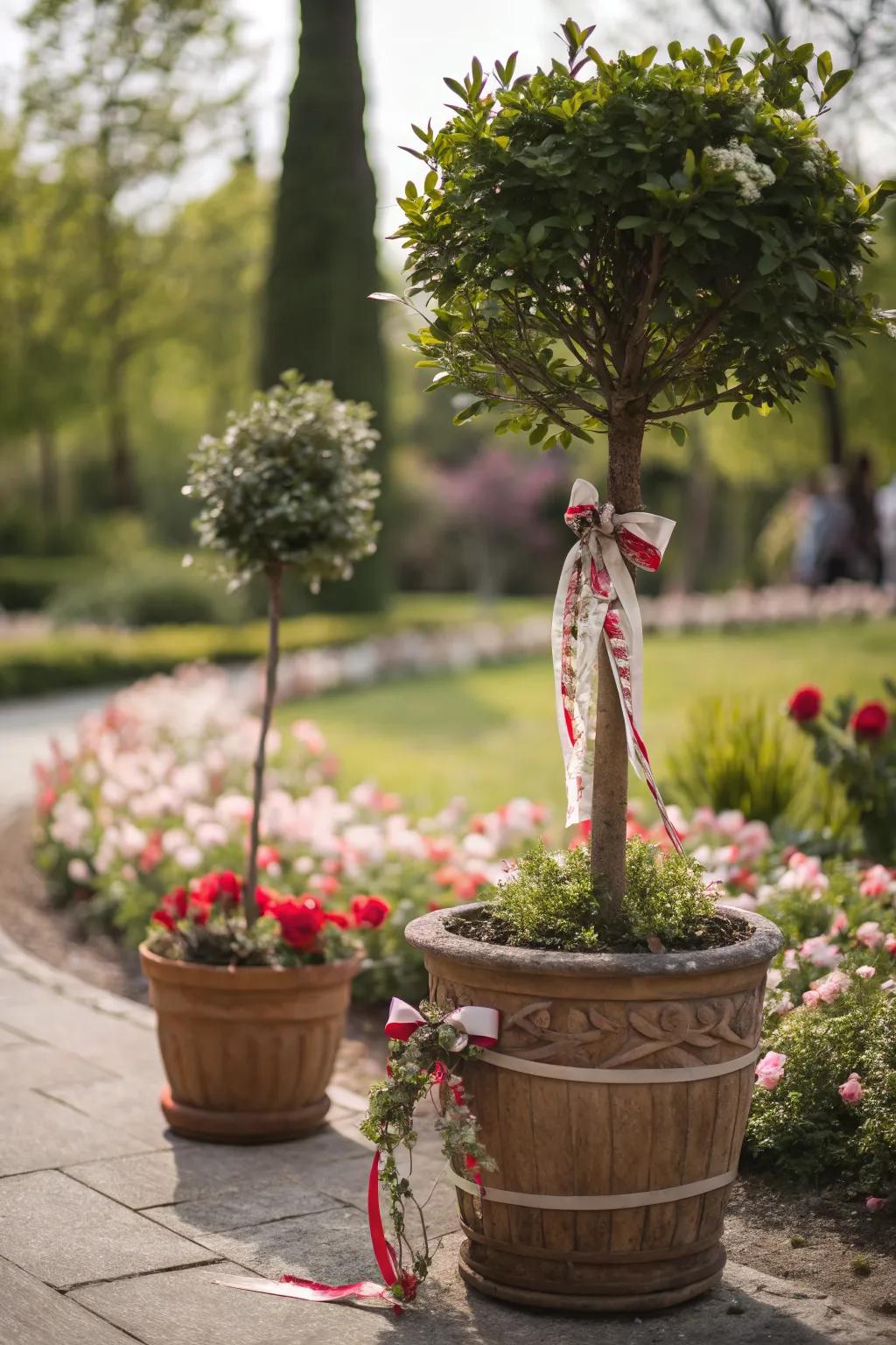 A gift-wrapped plant serves as a living tribute in the garden.