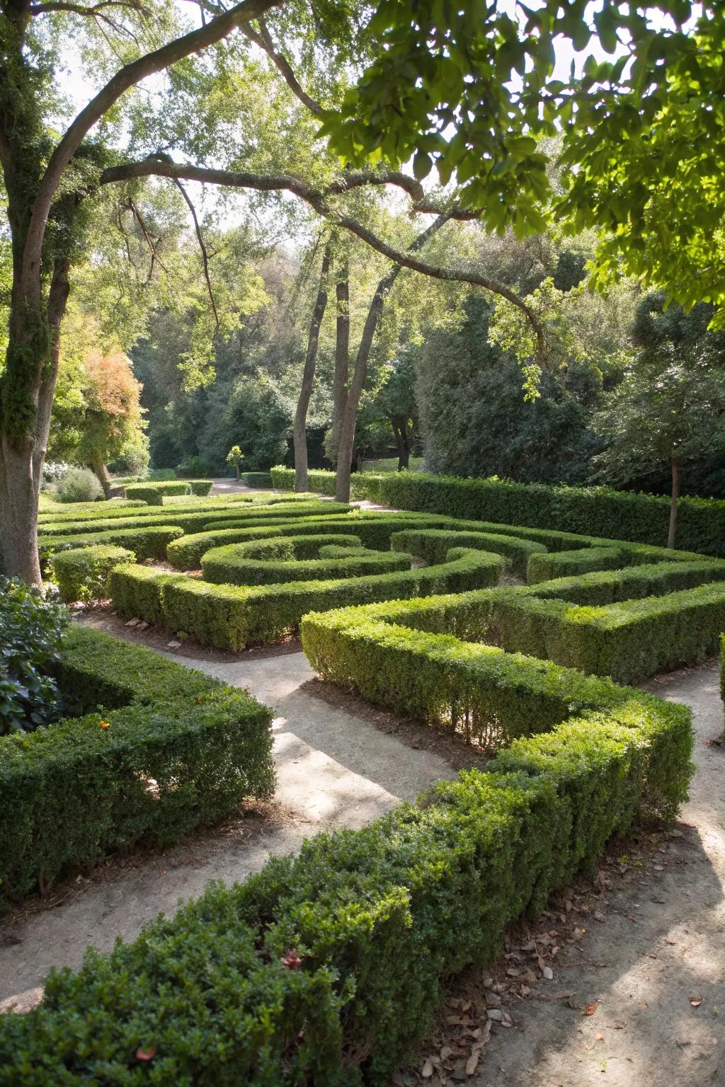 A miniature hedge maze brings classic elegance to a small garden.