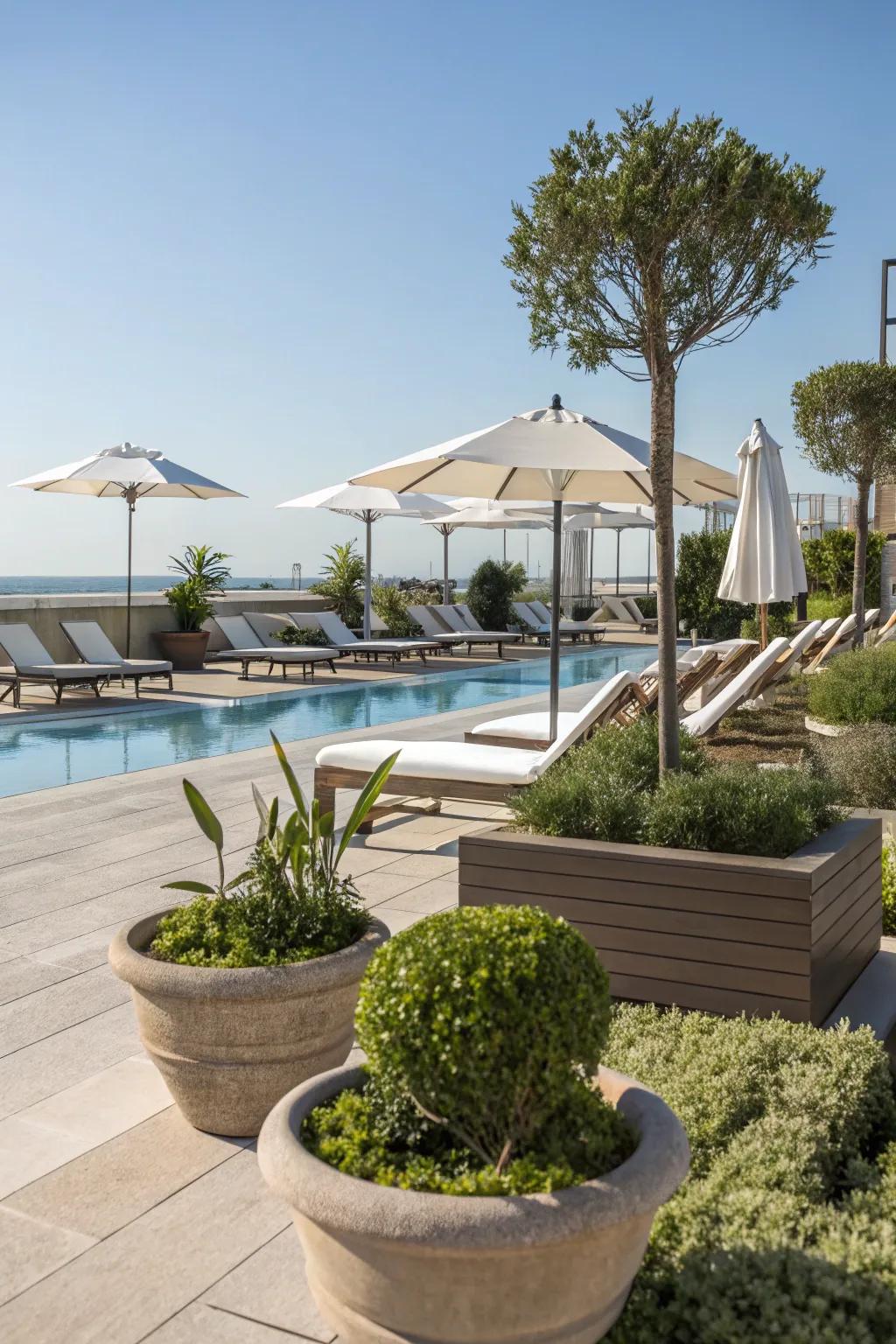 Strategic plant placement enhances poolside design.
