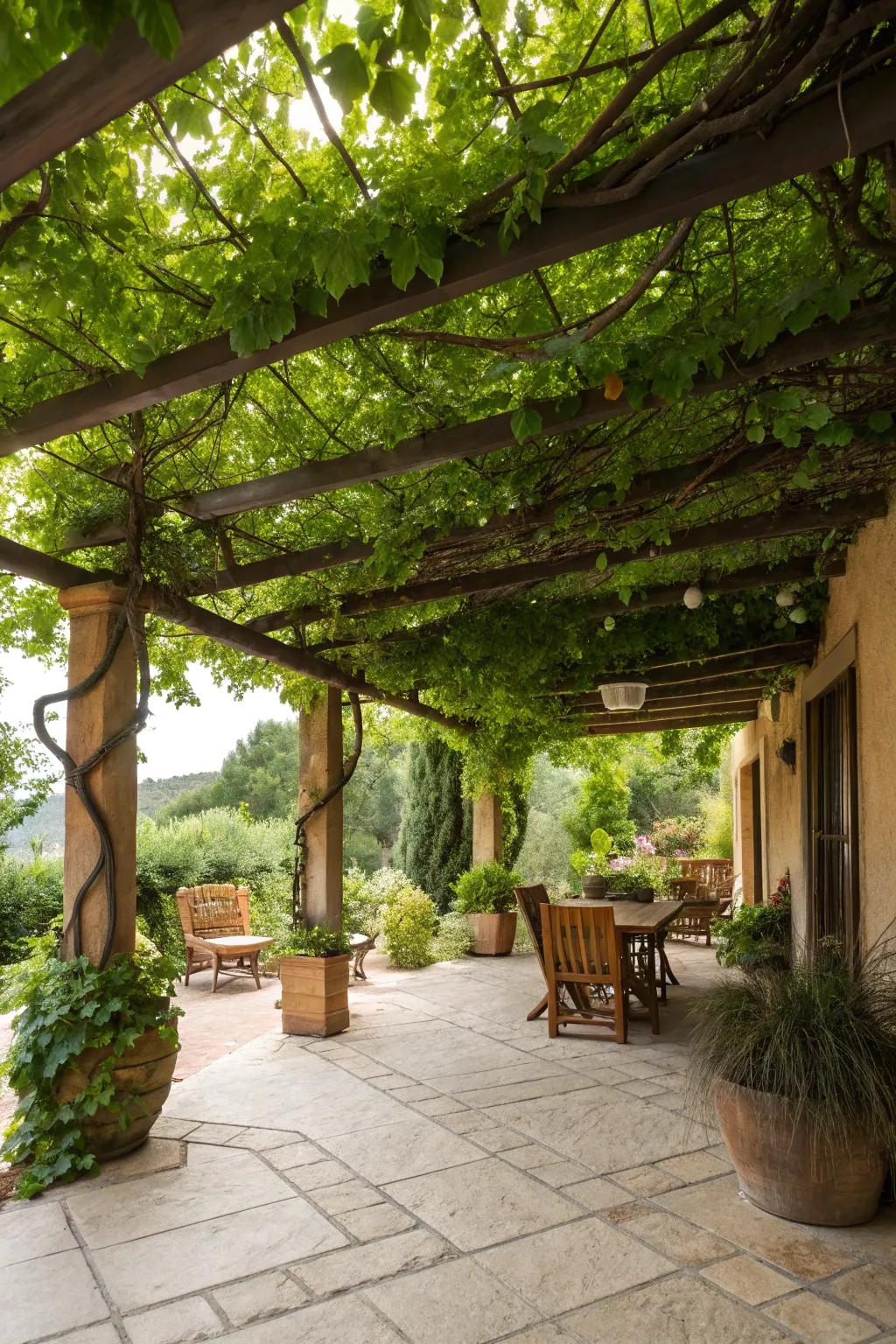 A pergola with climbing vines creates a shaded and private patio area.