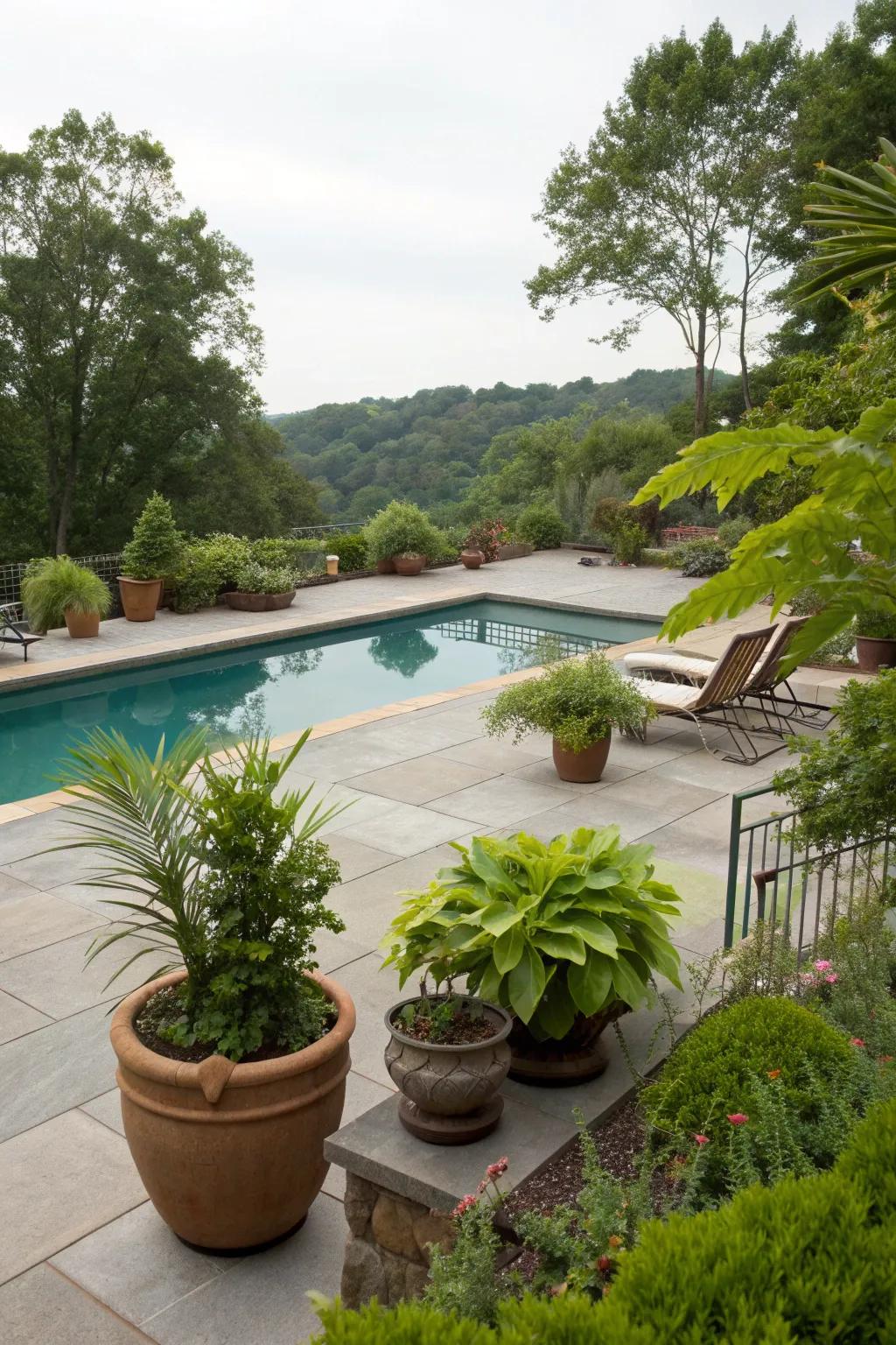 A pool deck surrounded by a variety of potted plants.