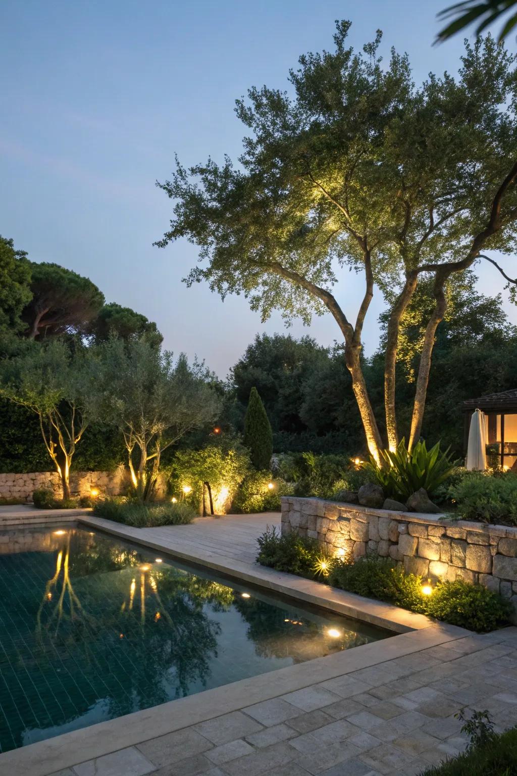 Uplighting transforms garden foliage into stunning nighttime features.