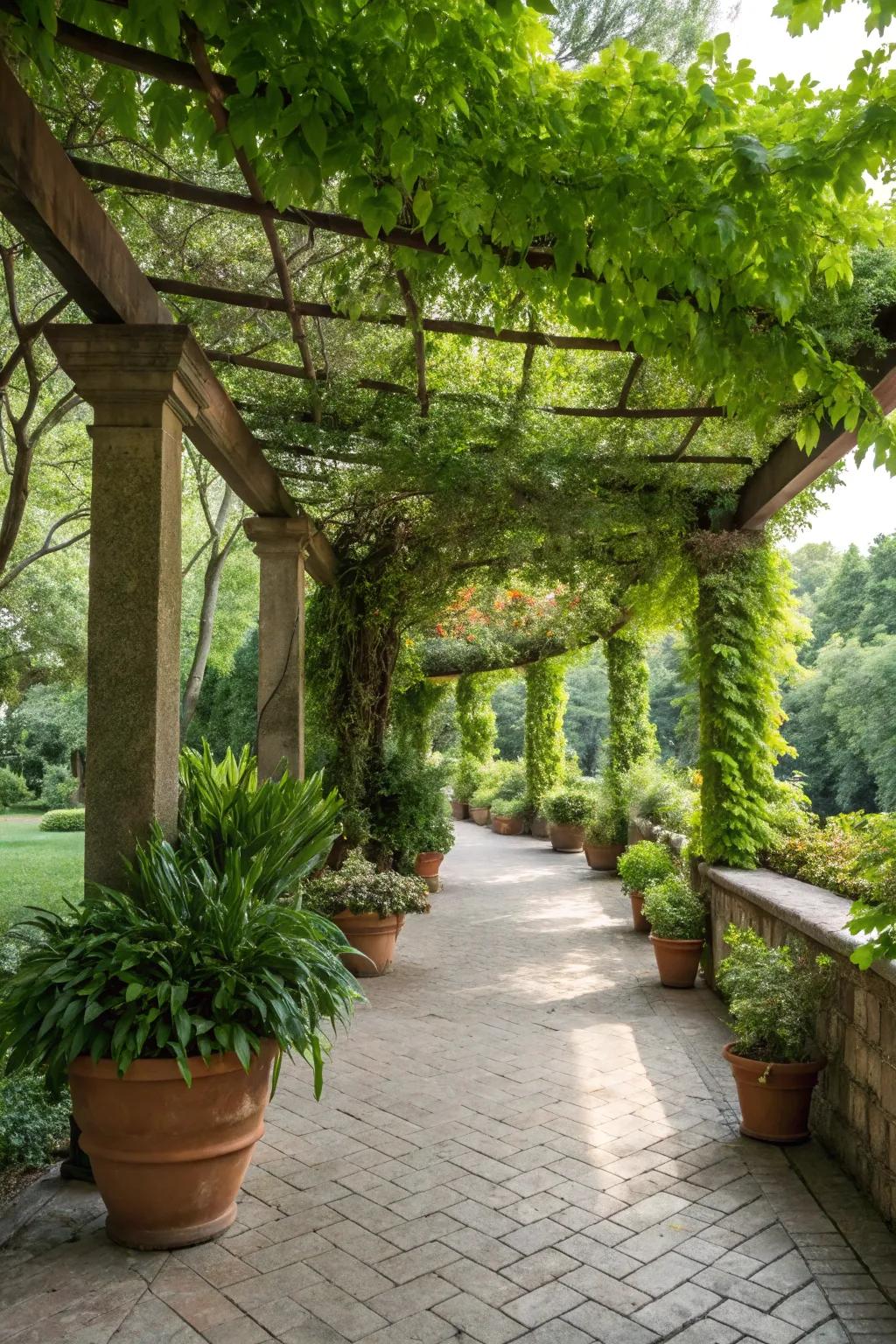 Turn your pergola into a verdant retreat with climbing plants and greenery.