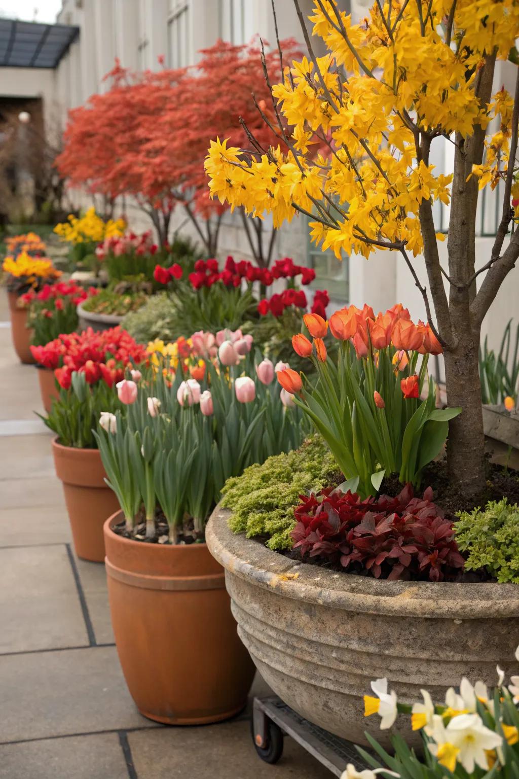 Keep your decor fresh with seasonal potted flowers.