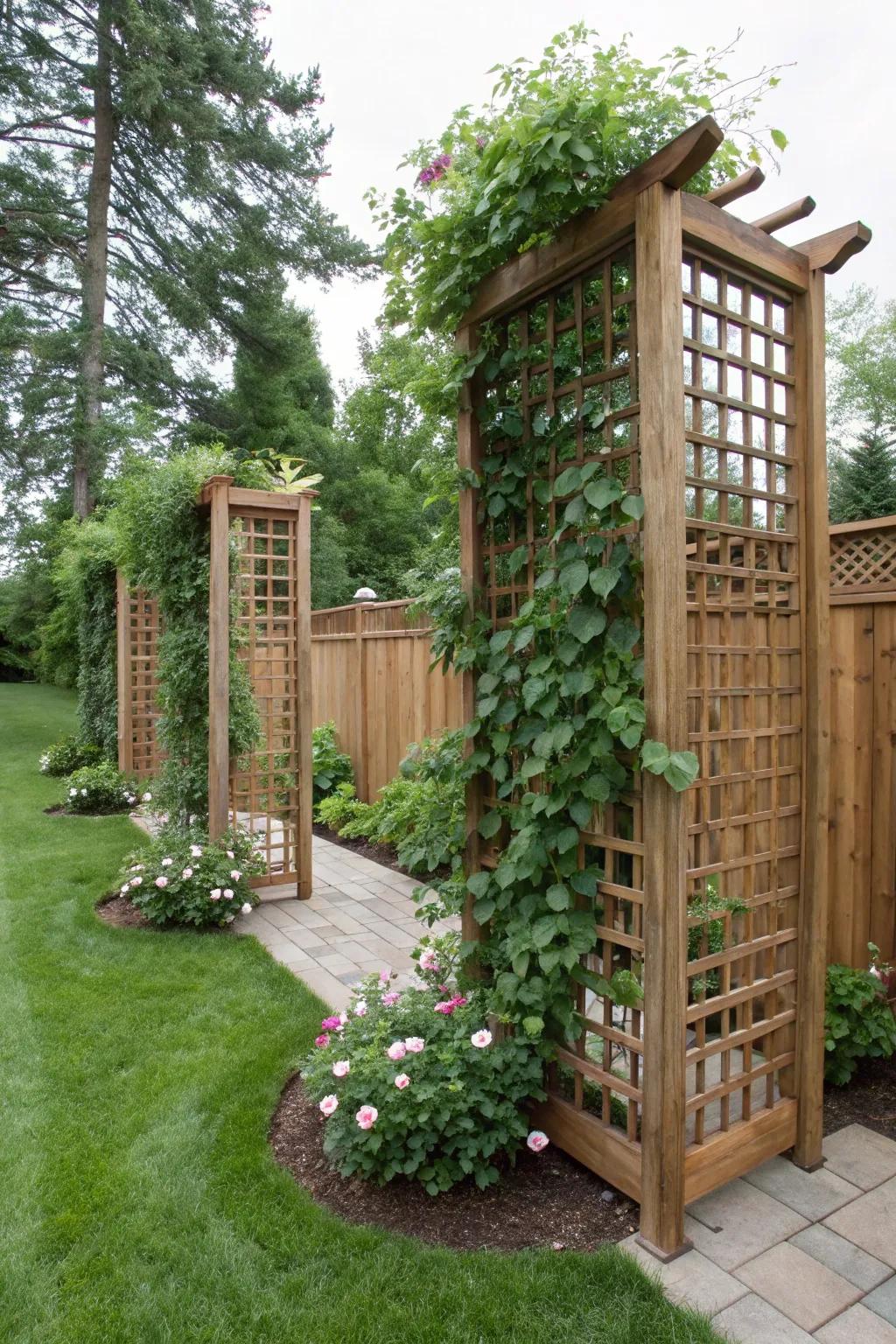 Add structure and privacy with elegant garden screens.