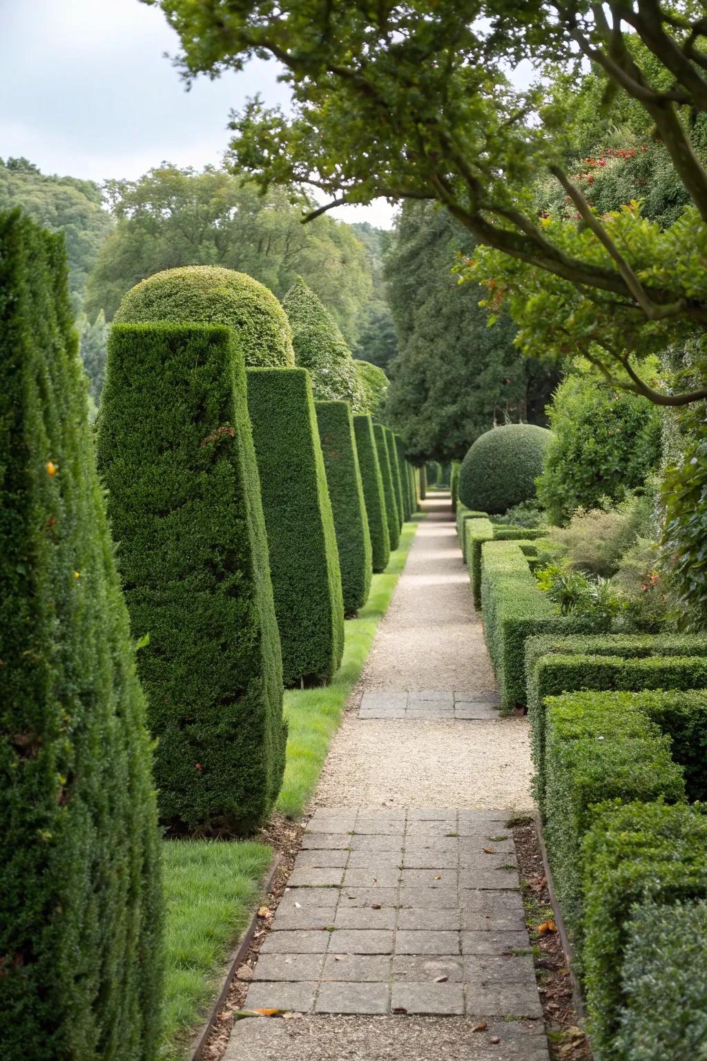 Achieve a structured look with formal hedges.