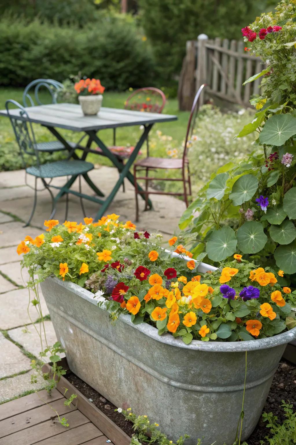 An edible flower garden in a water trough planter.