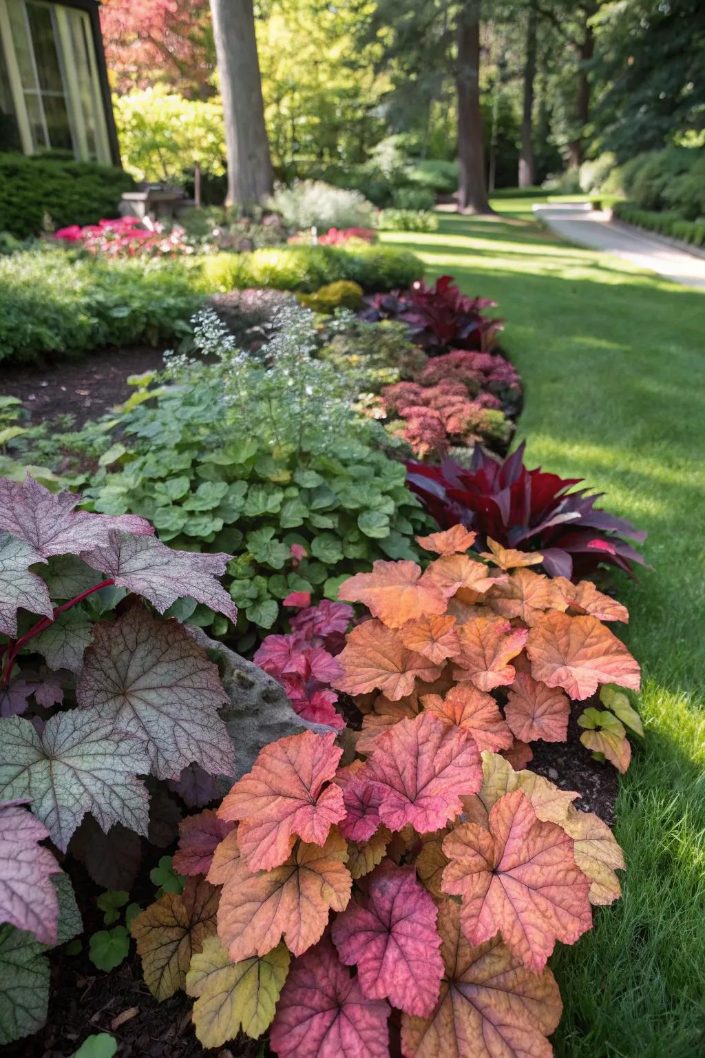 Coral bells add striking foliage color to shaded gardens.
