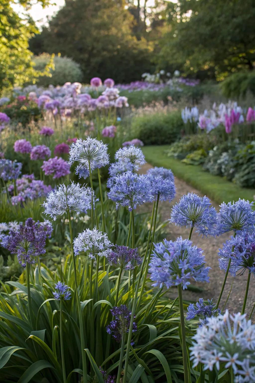 Craft a harmonious color theme with agapanthus.