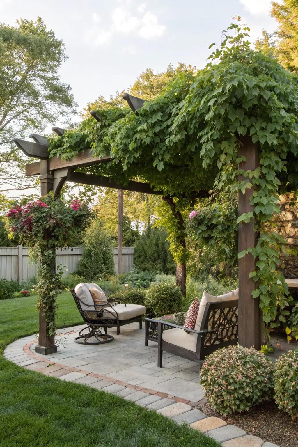 A pergola retreat offers shade and comfort in your backyard corner.