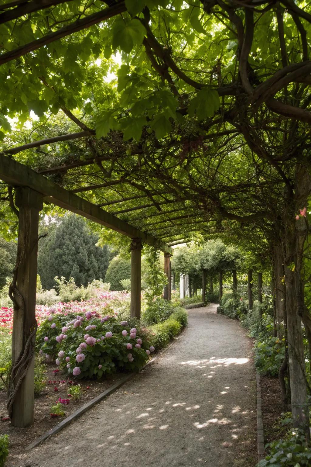 Arbors and trellises add vertical charm and support for climbing plants.
