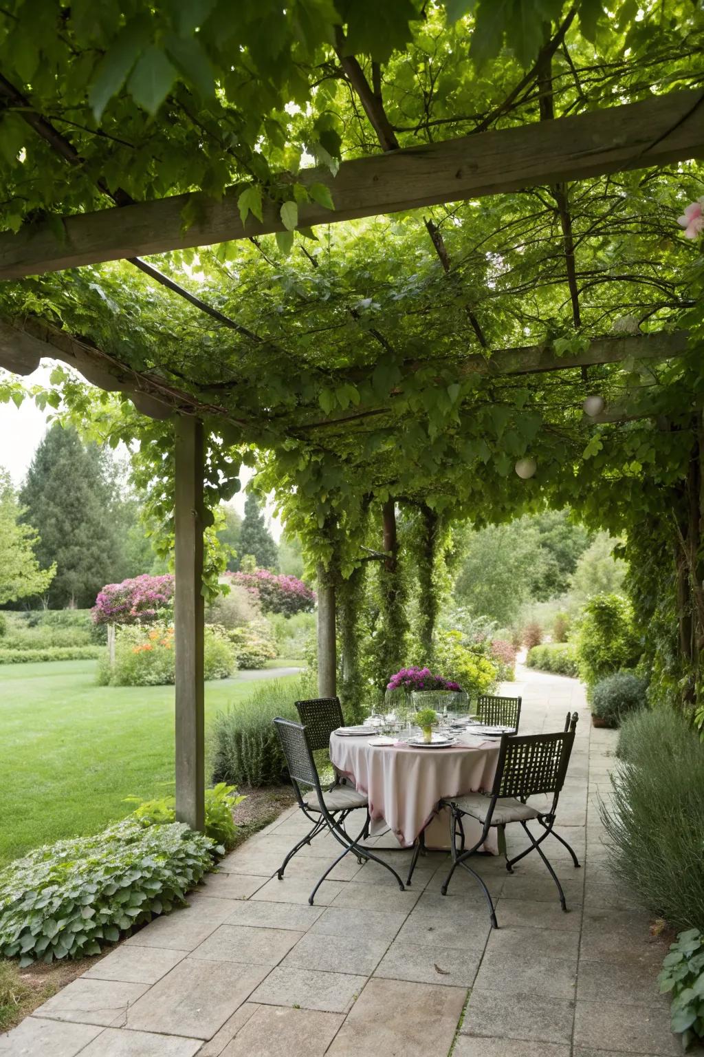 A pergola offers shade and a beautiful focal point for your backyard.