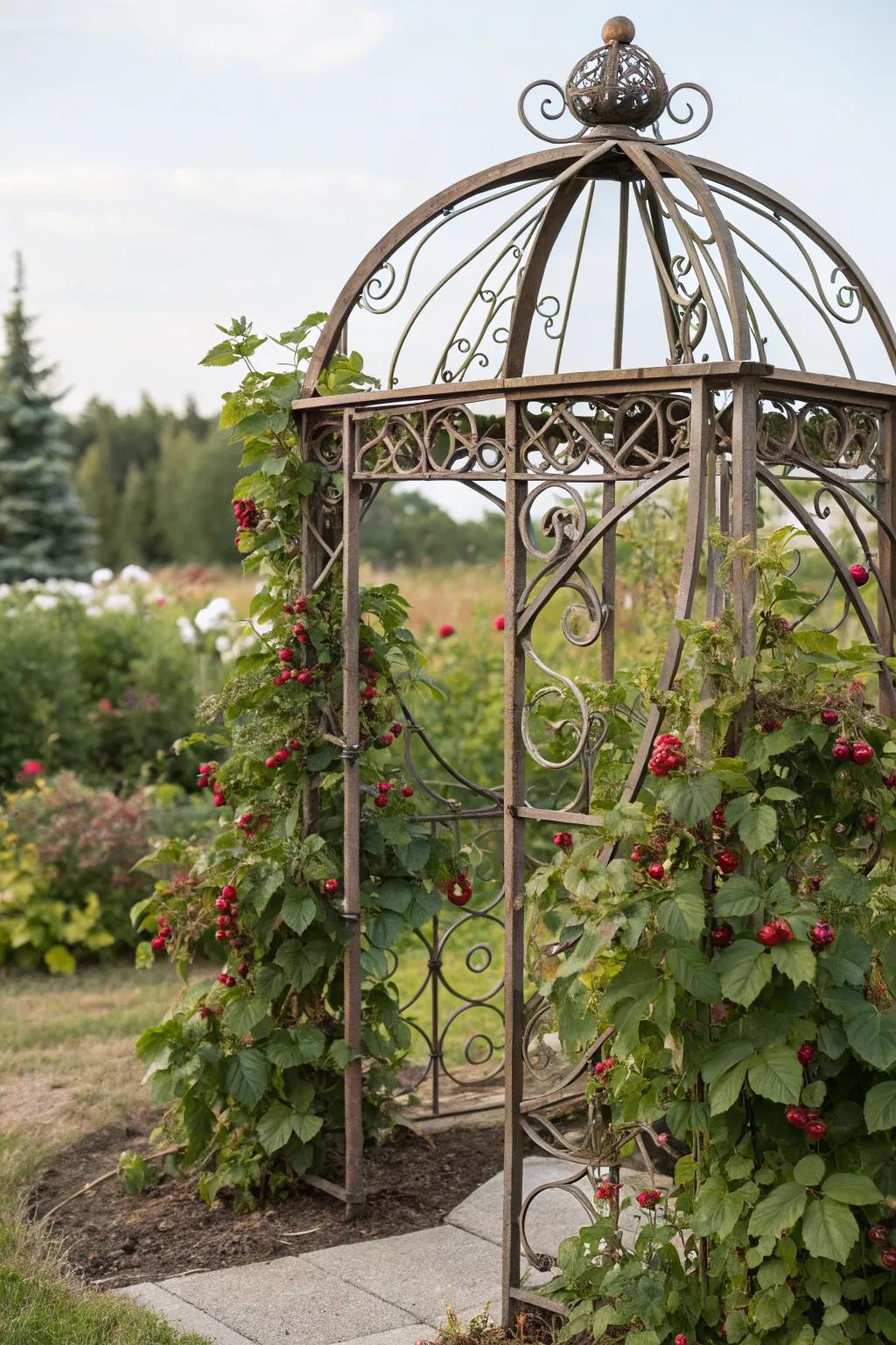 Artistic metal trellis adds a modern touch to the garden landscape.