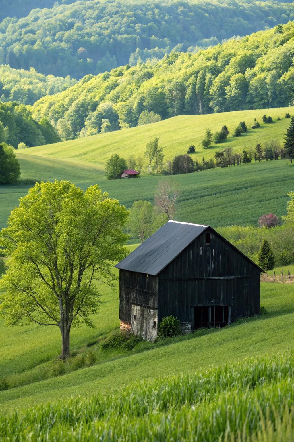 A black barn providing a striking contrast with a vibrant green landscape.
