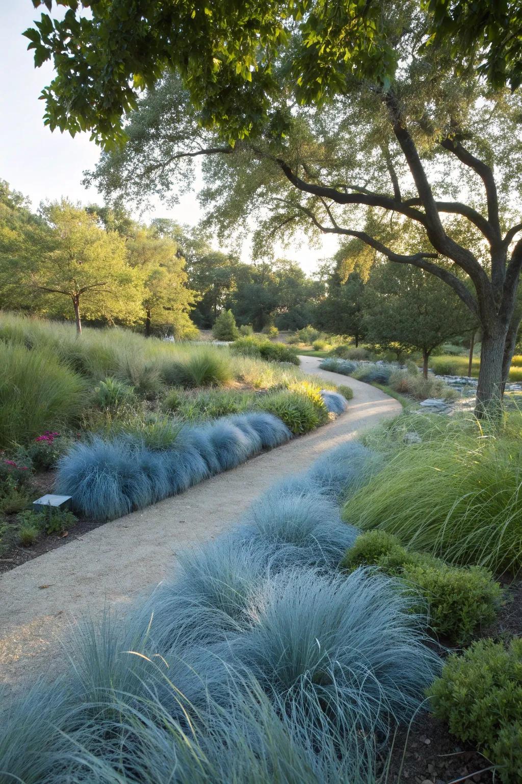 Blue fescue creates a harmonious, naturalistic flow in the garden.