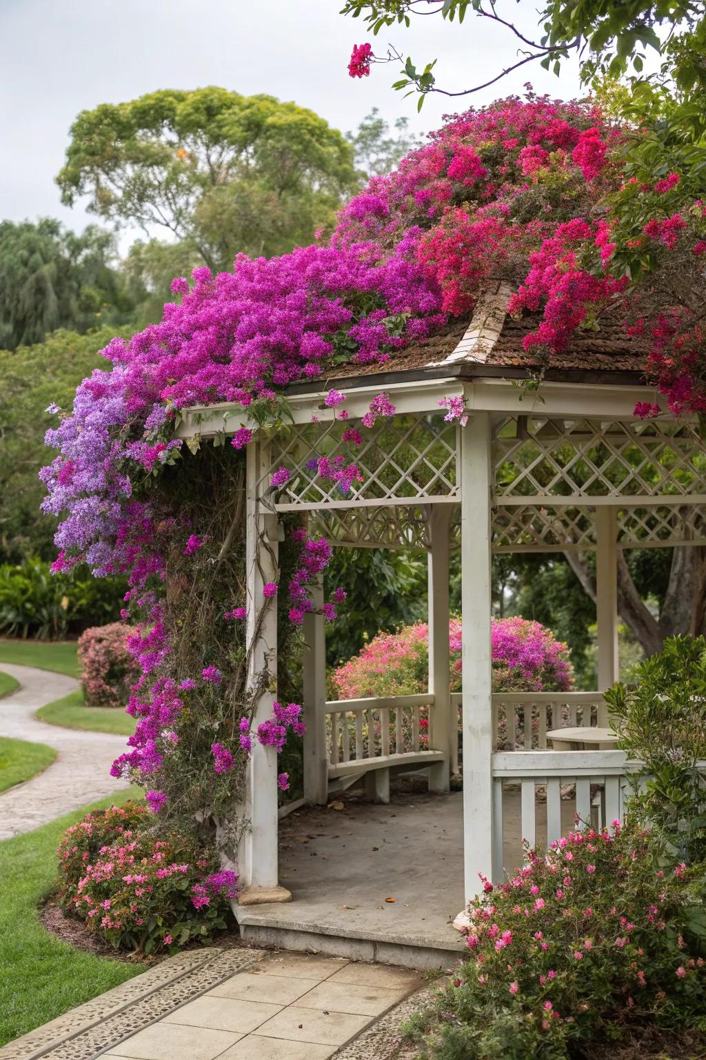 Bougainvillea transforms a gazebo into a serene escape.