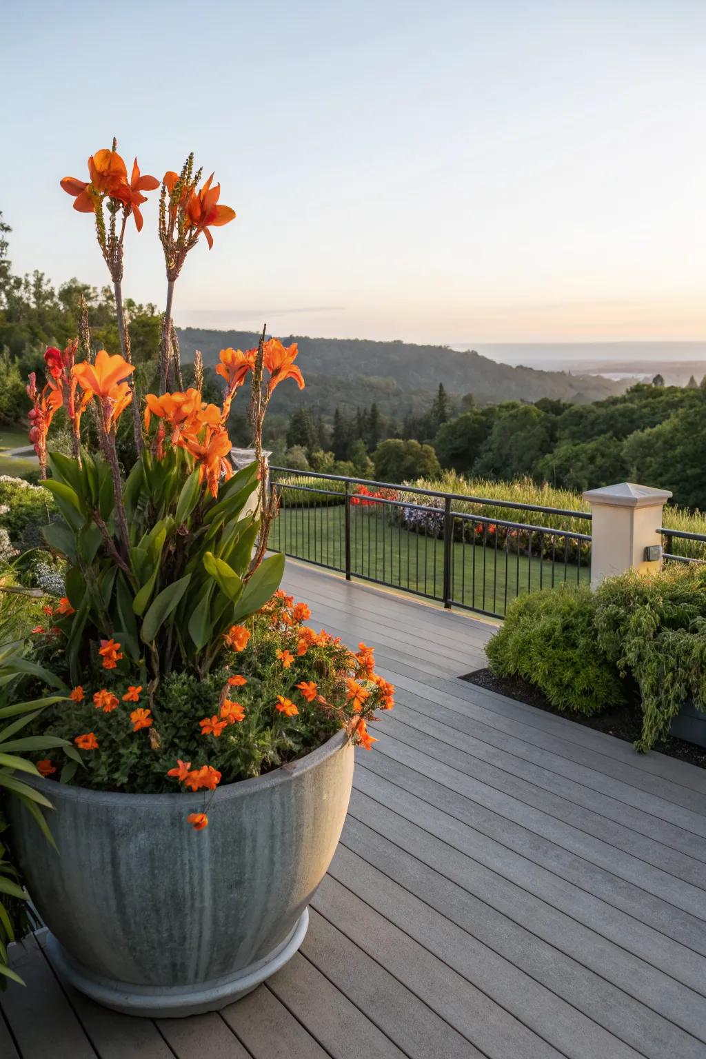 Canna lilies add tropical flair to any deck space.