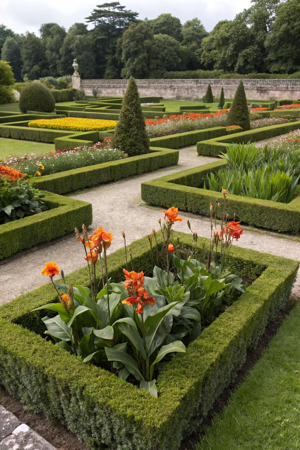 Canna lilies add elegance to formal garden designs.