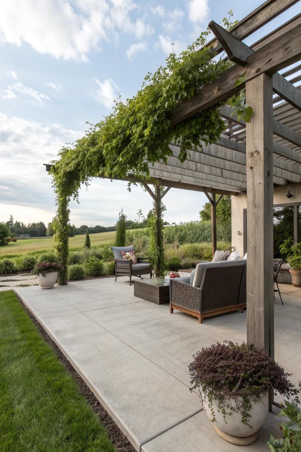 Get creative with a pop-up pergola for your patio.