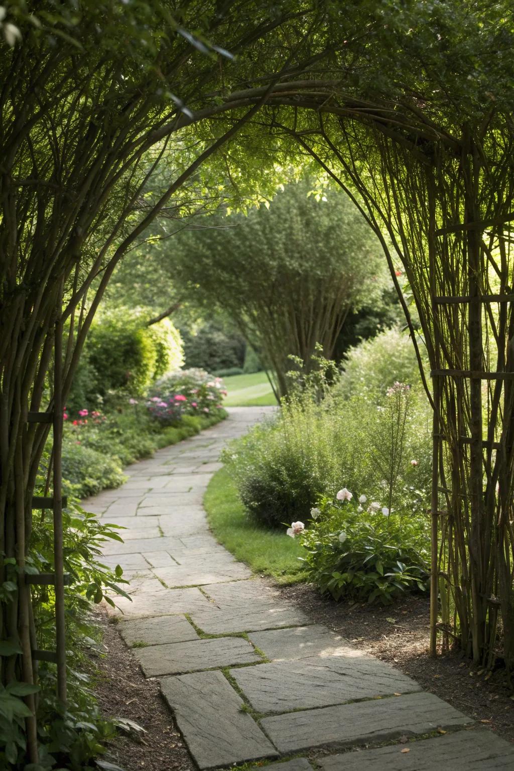 Dappled willows elegantly frame a garden entrance.