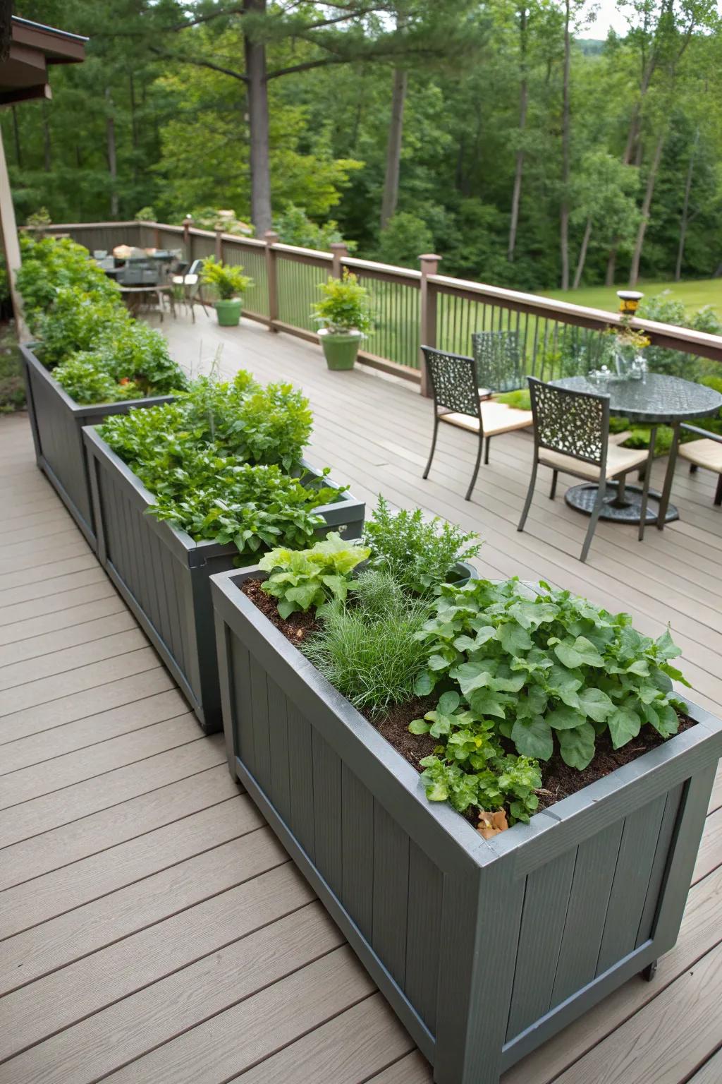 Planters double as functional dividers on decks.