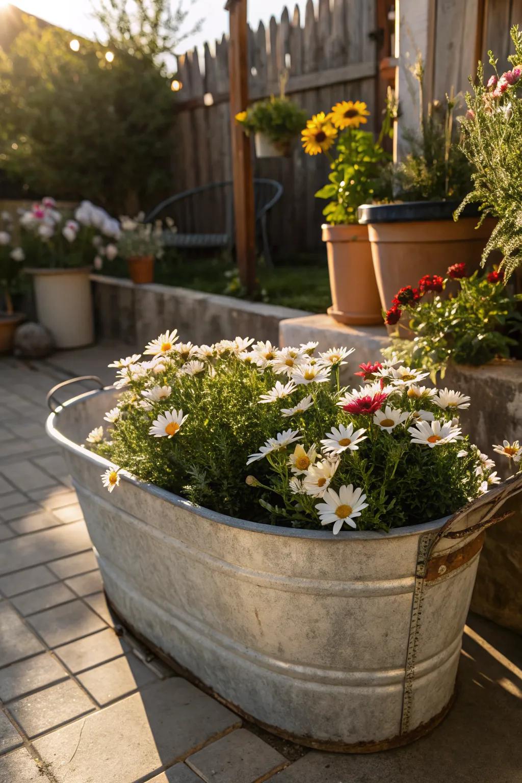 Galvanized tubs offer a rustic and durable planting option.