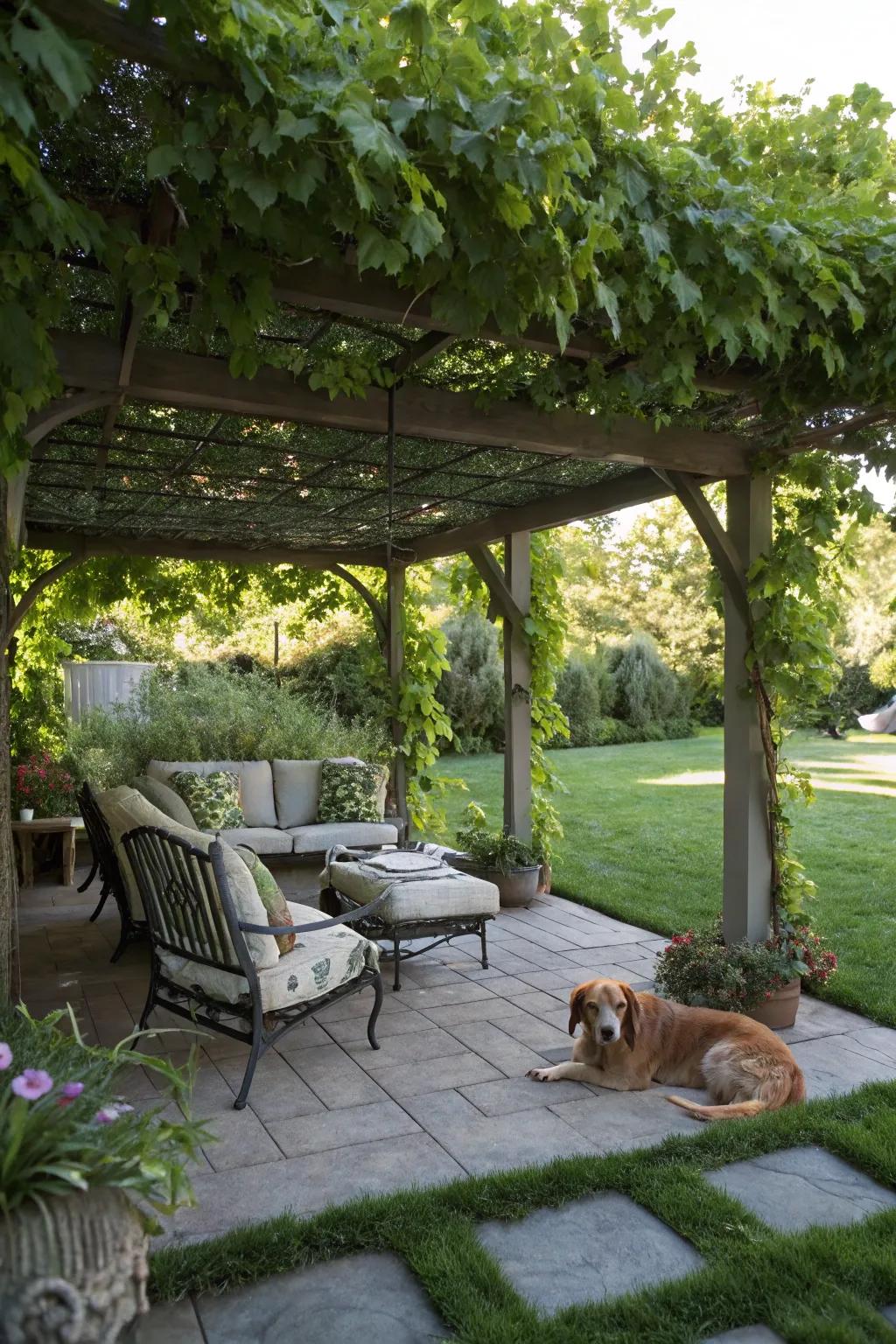 Shaded areas offer comfort and protection from the sun.